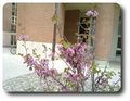 Thumbnail for version as of 13:41, 3 April 2012