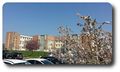 Thumbnail for version as of 10:19, 24 March 2014