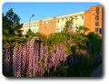 Thumbnail for version as of 18:04, 27 April 2015